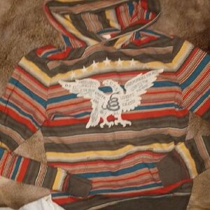 Denim And Supply By Ralph Lauren Multicolor Striped Hoodie with Eagle And Snake